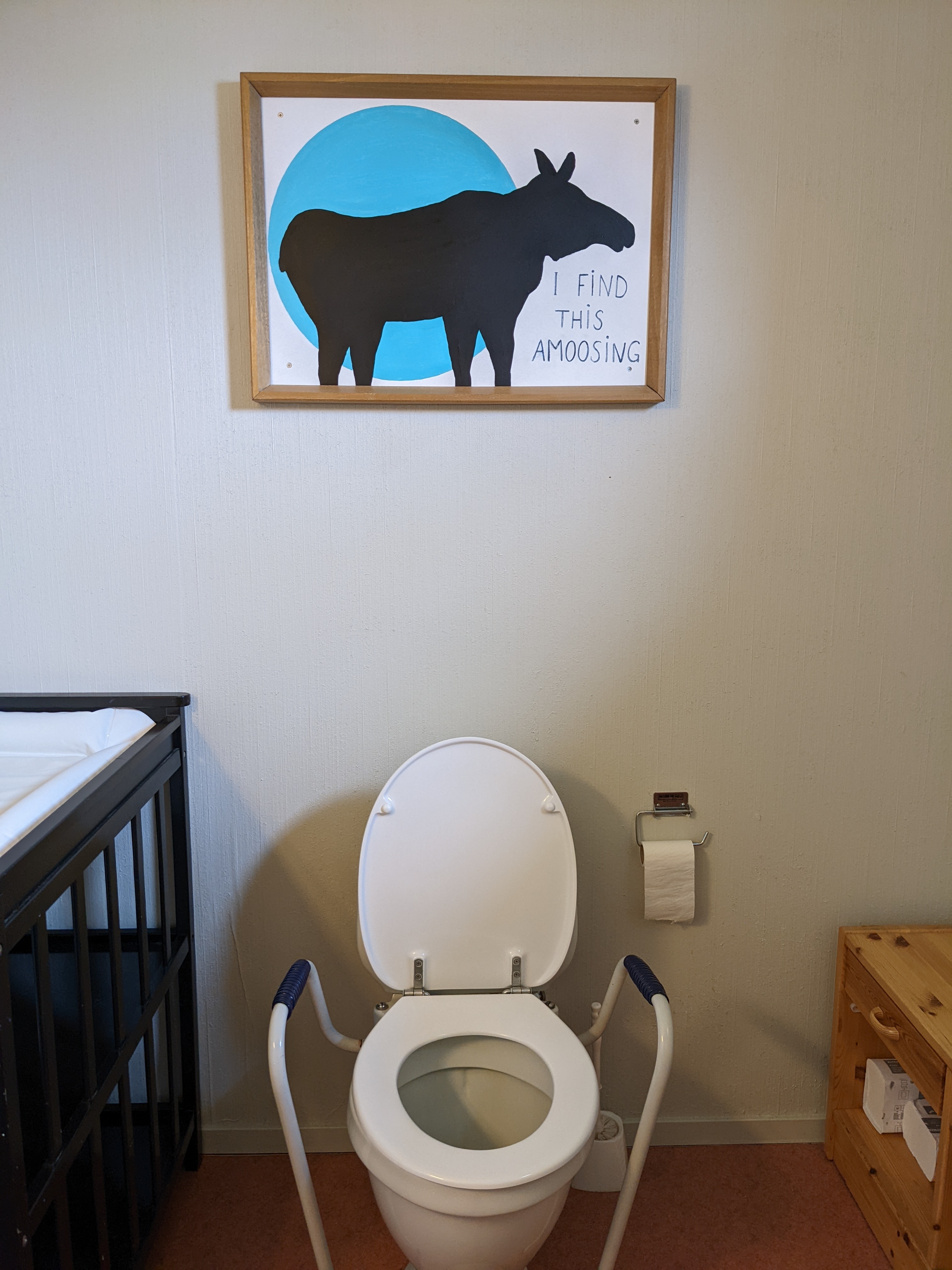 a graphic of a moose silhouette with the moon behind it next to the words "I find this amoosing" hanging above a toilet