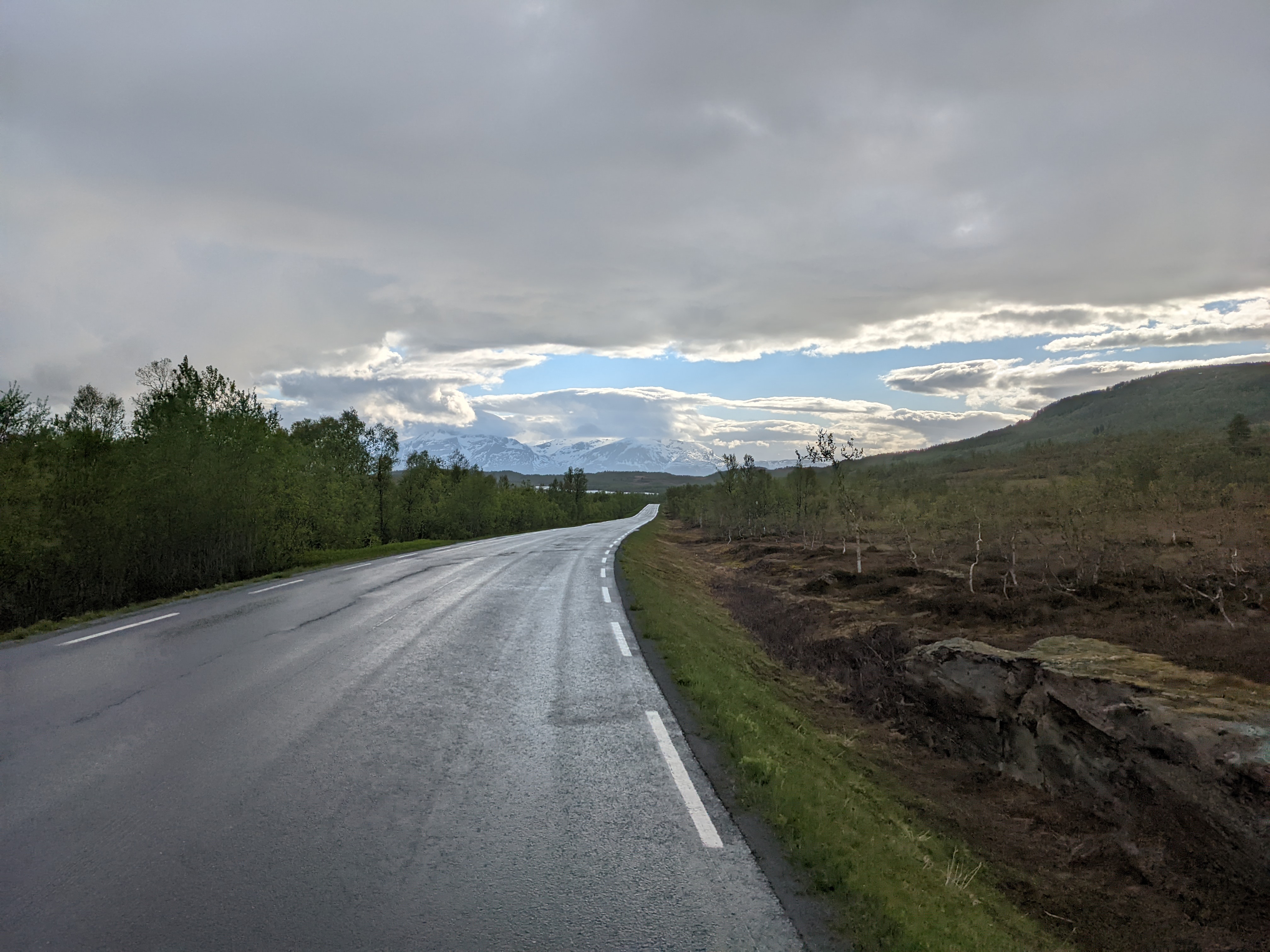 A wet road moves toward distant fjord and mountains with flat, brown birch-and-bog country on either side