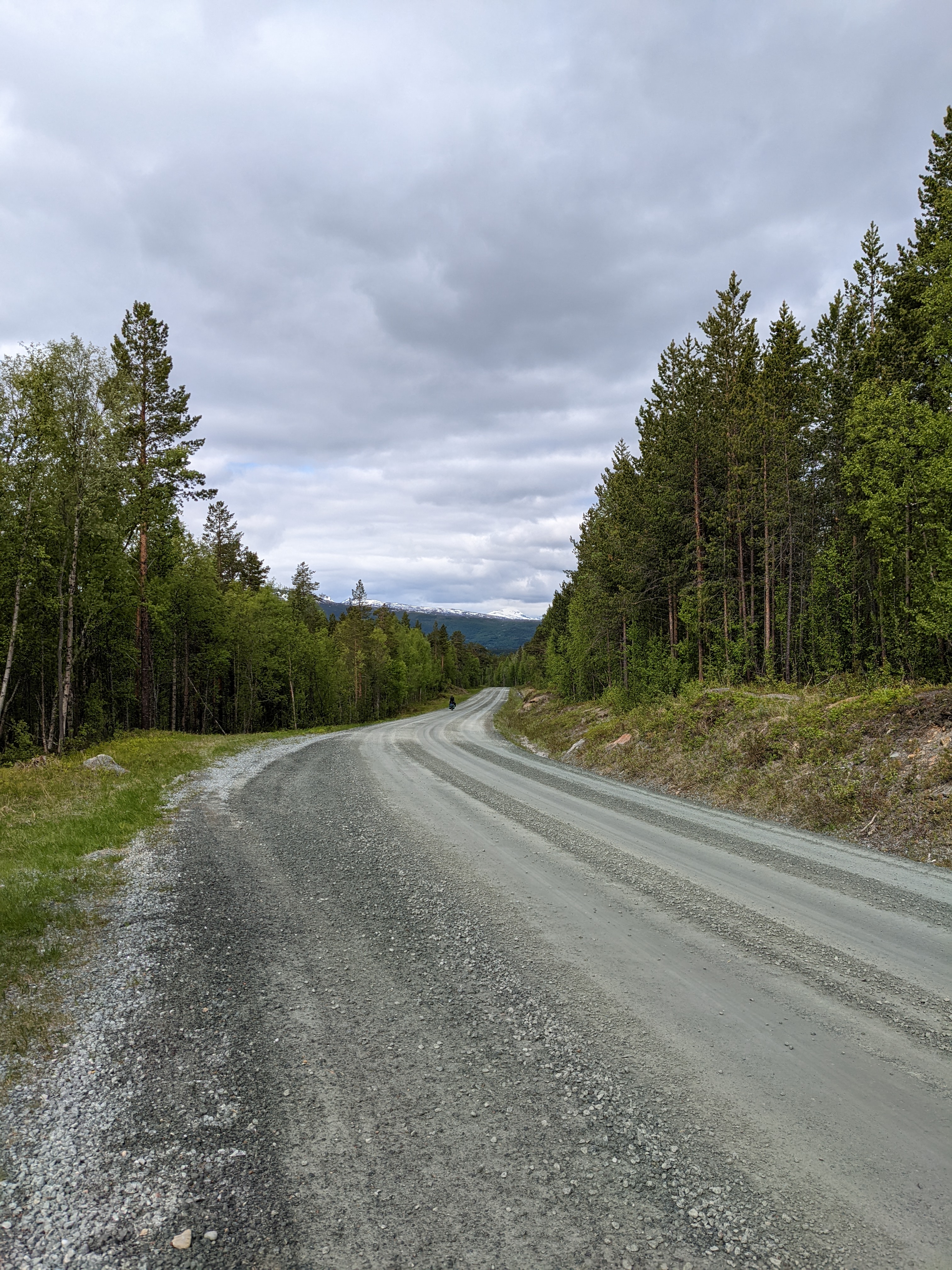 a smooth gravel road winding right through forested country