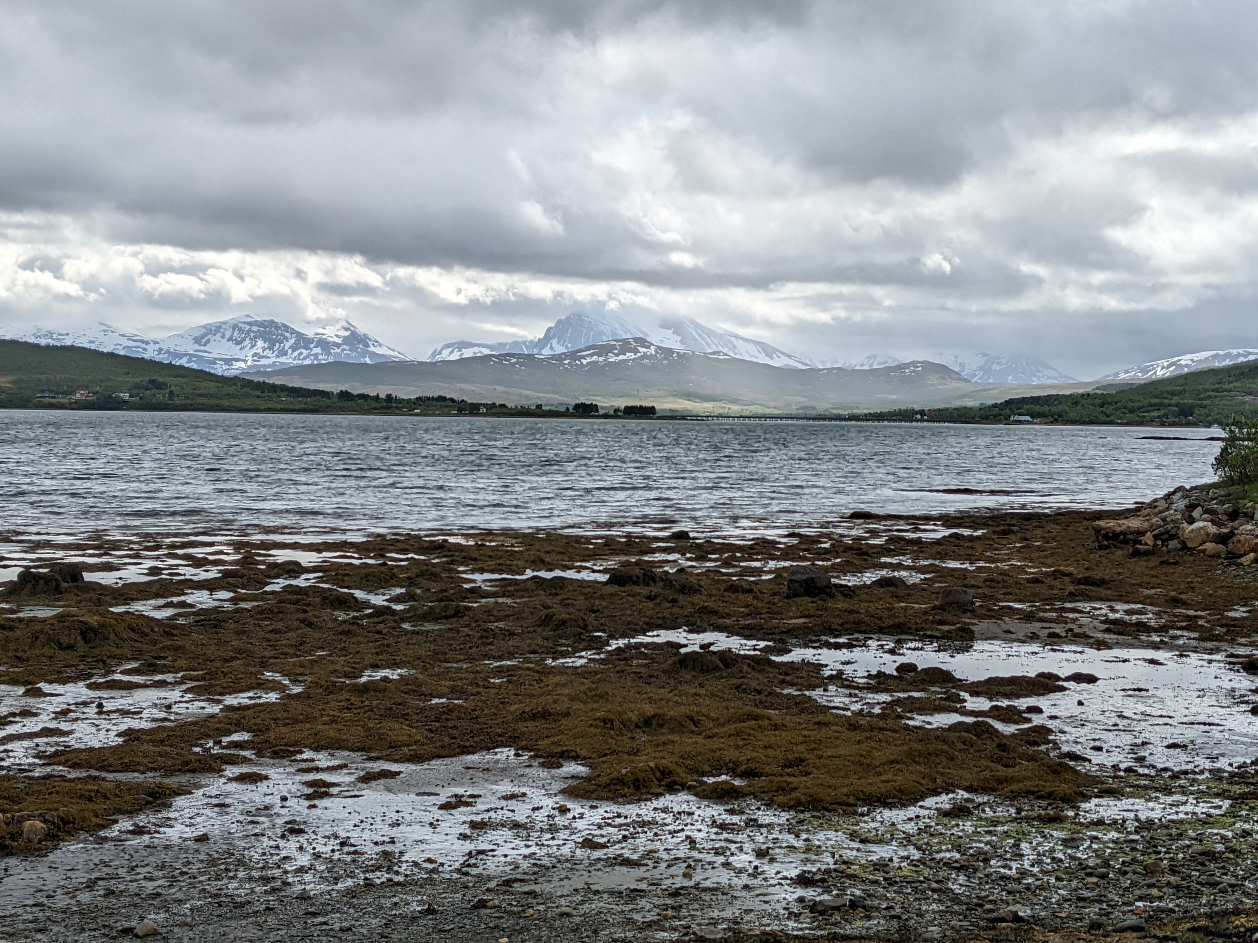 mountains shrouded in cloud behind a rocky beach