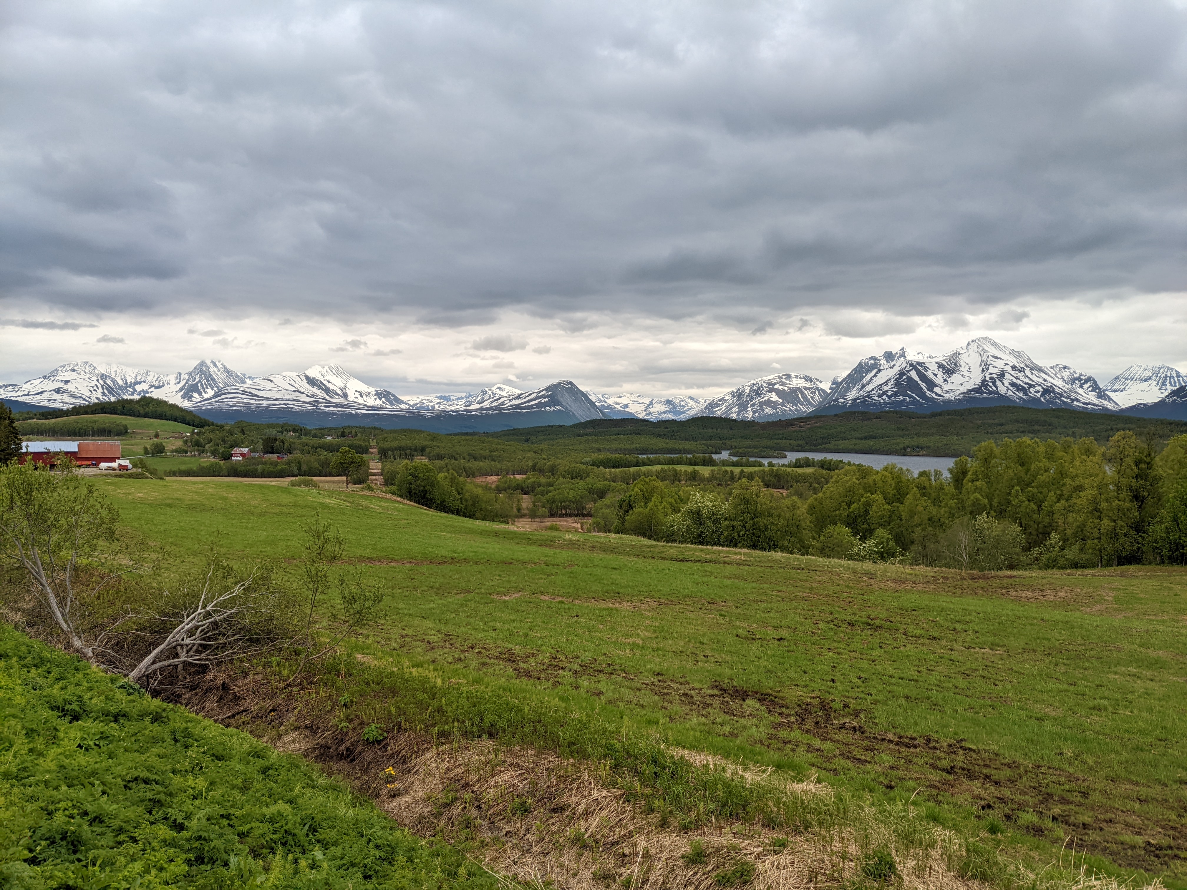 many snowy mountains in the distance behind green pasture