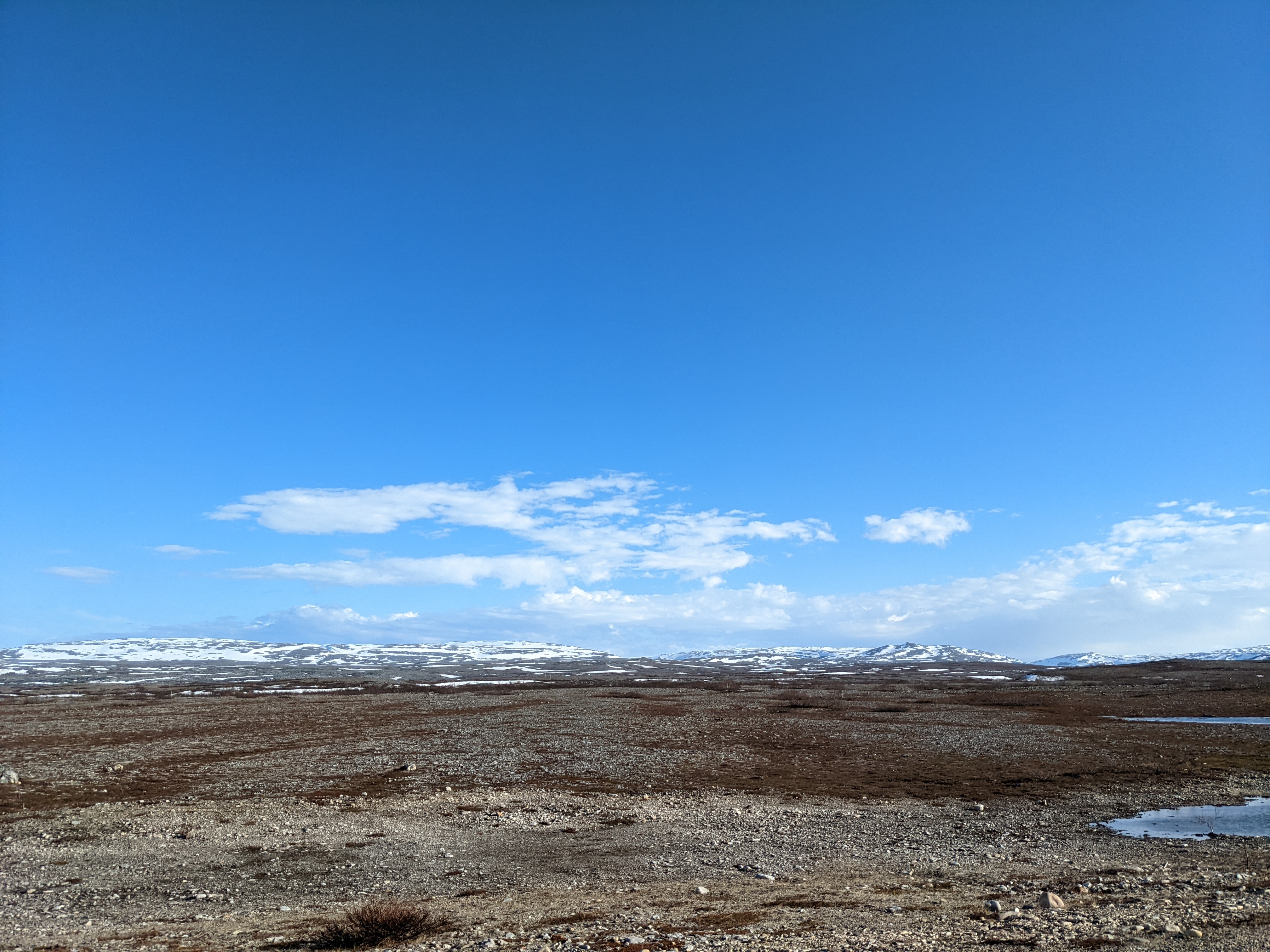 barren-looking high country landscape