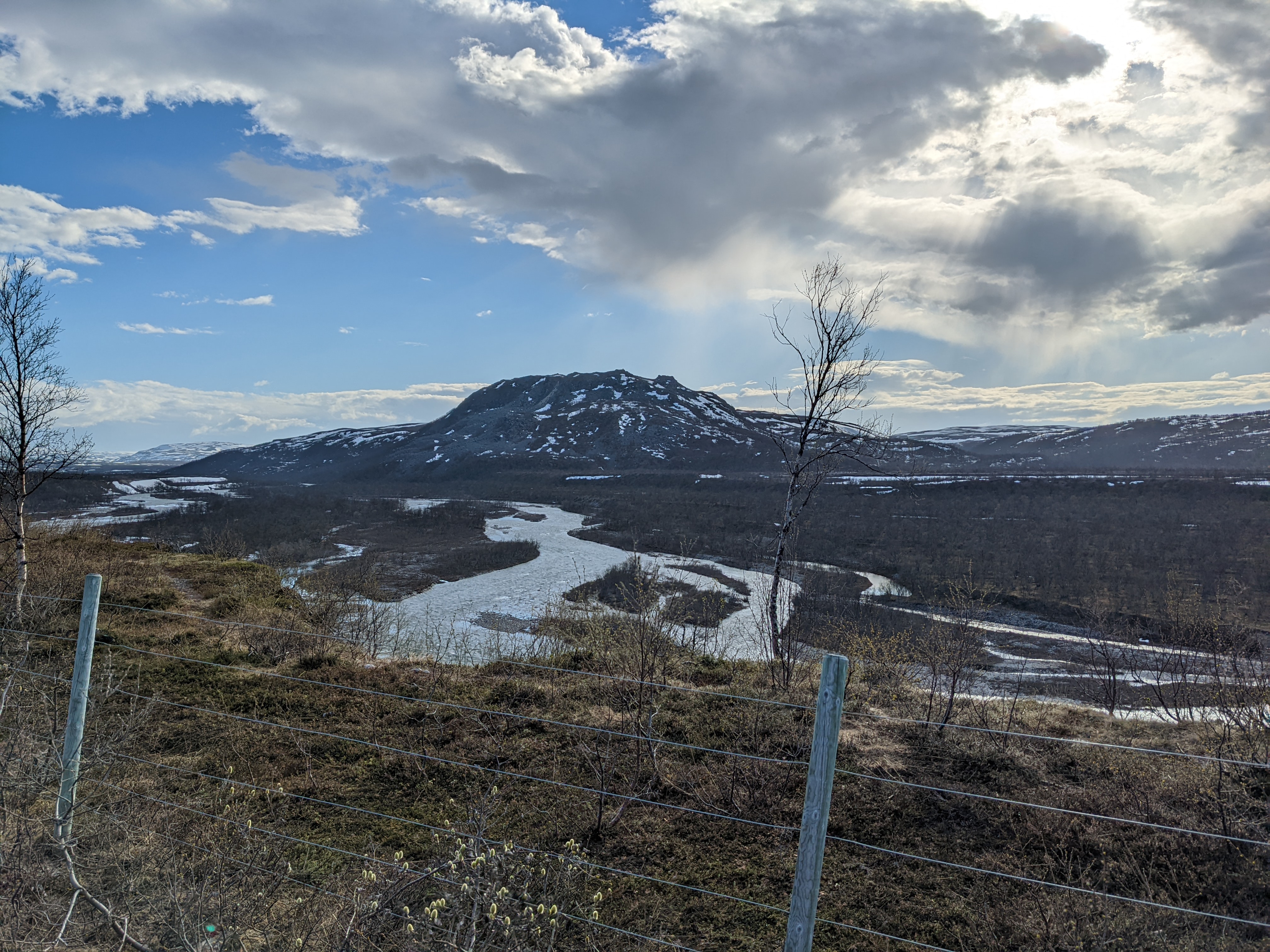 a heavily braided gravel-bedded river makes good salmon spawning water