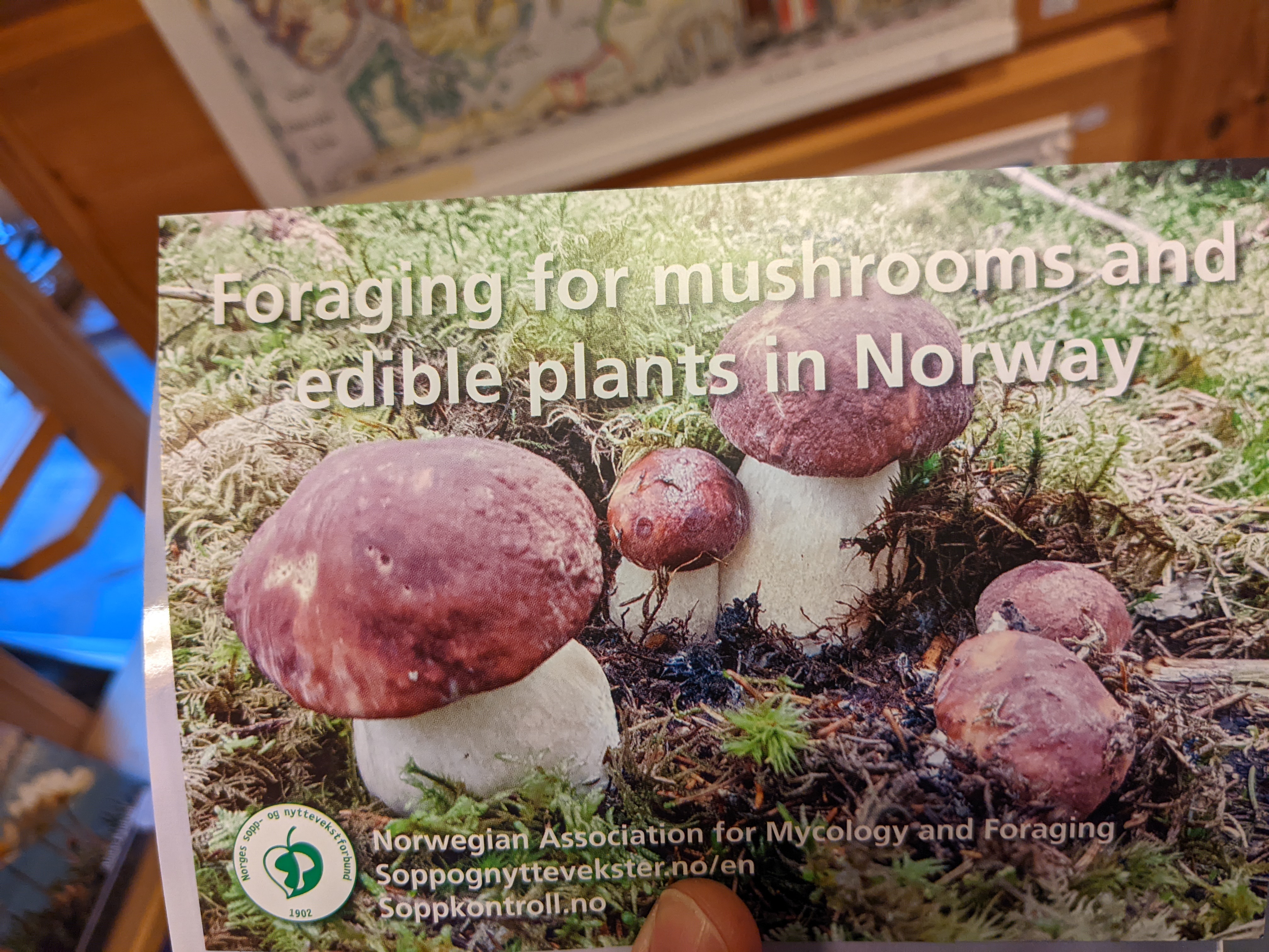 a free mushroom foraging booklet