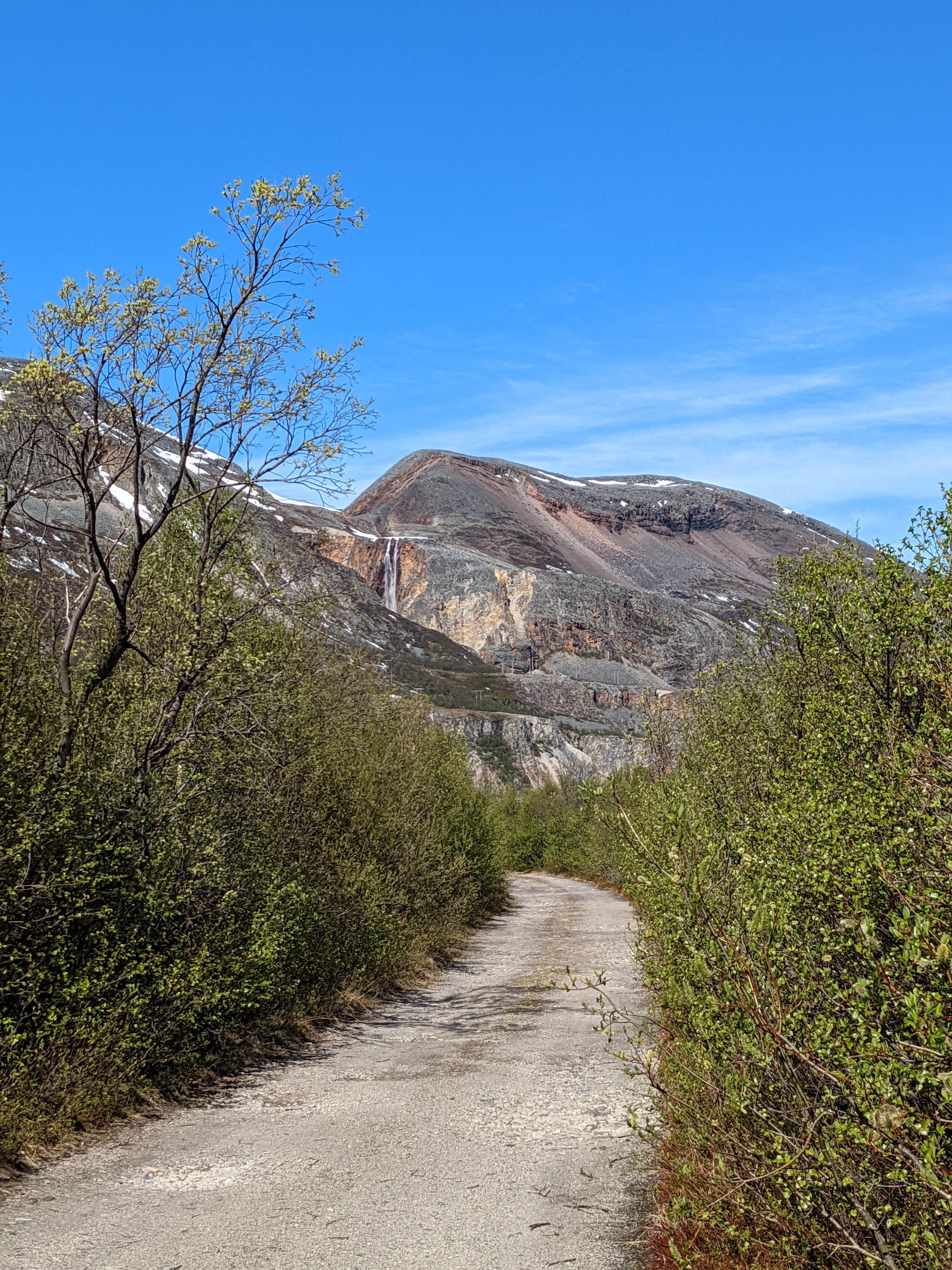 the waterfall south of stabbursnes np with birches in foreground