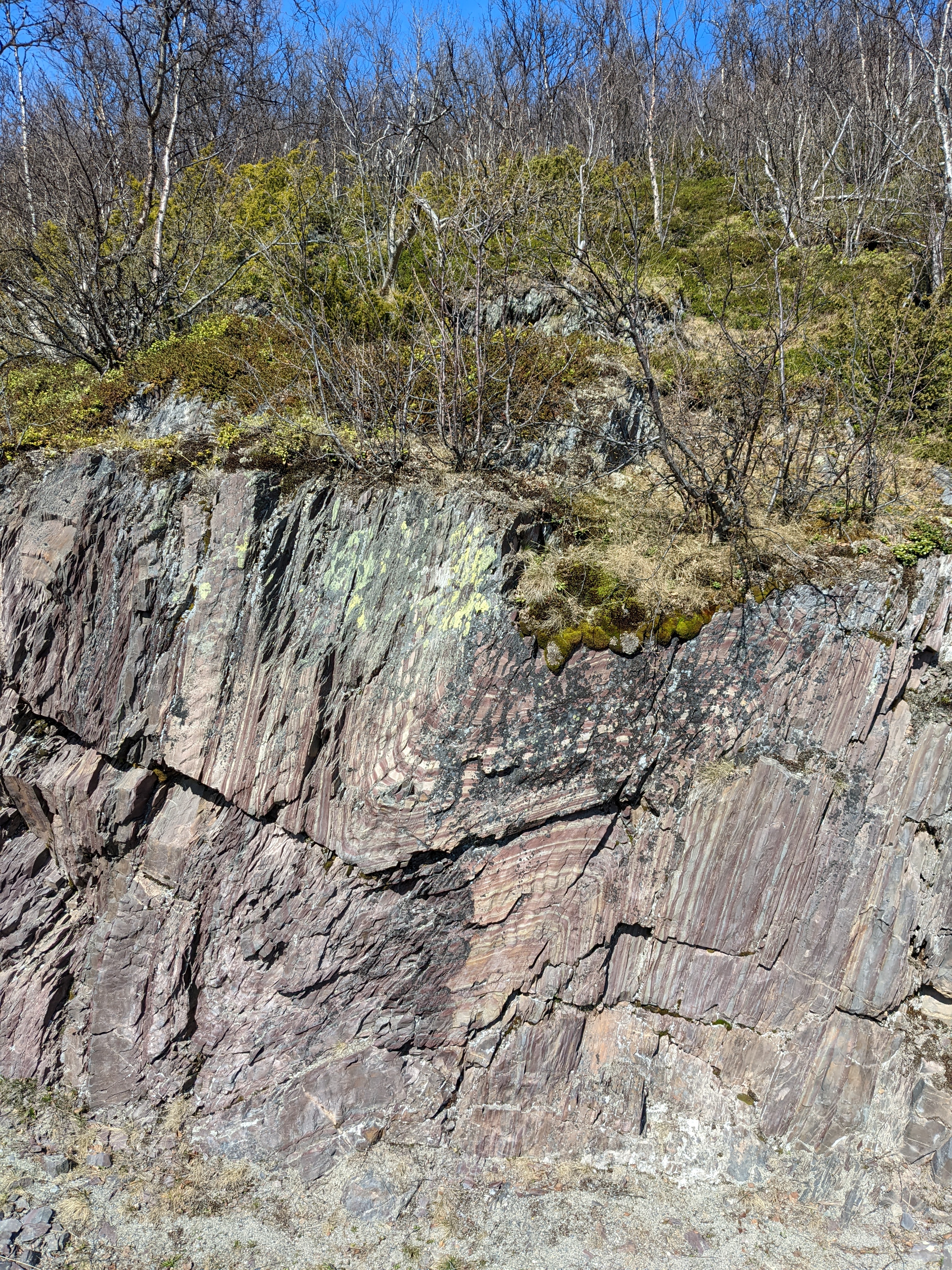 stone with strongly deformed layers visible