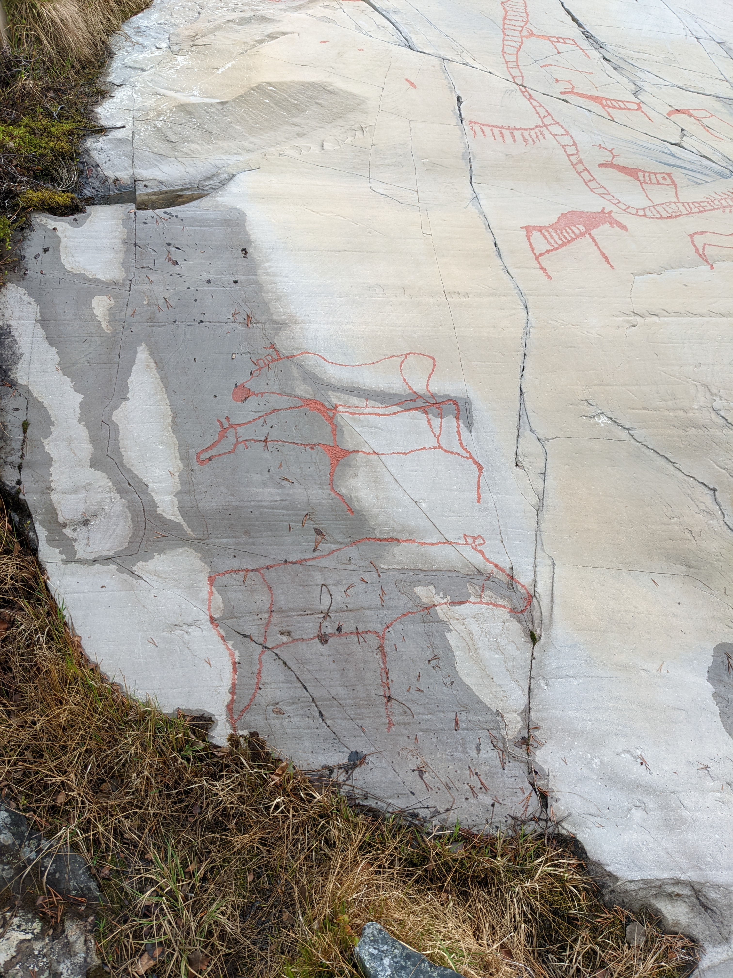 Rock art of two moose mating