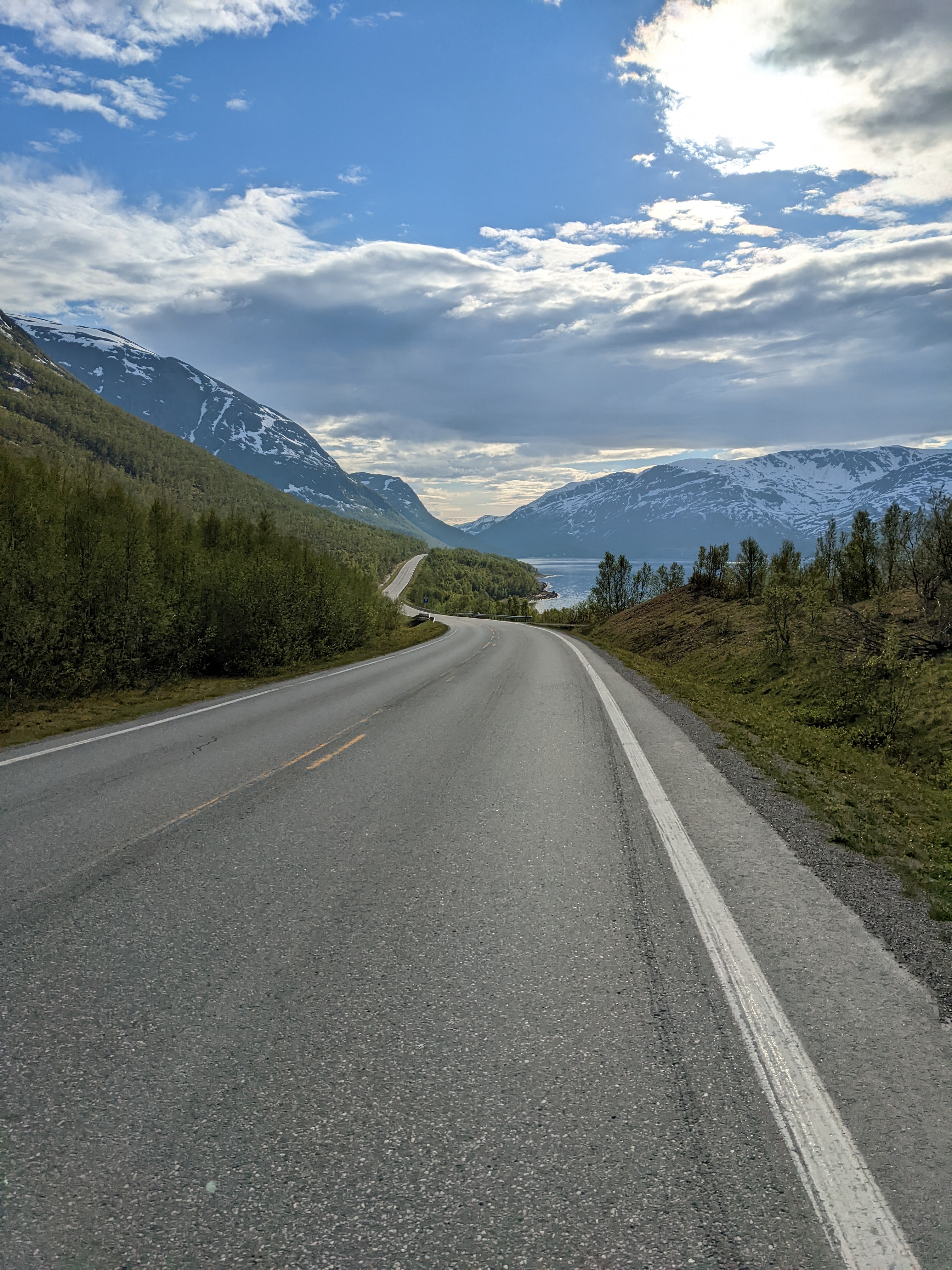 long, sinous road running between coniferous forest and fjord