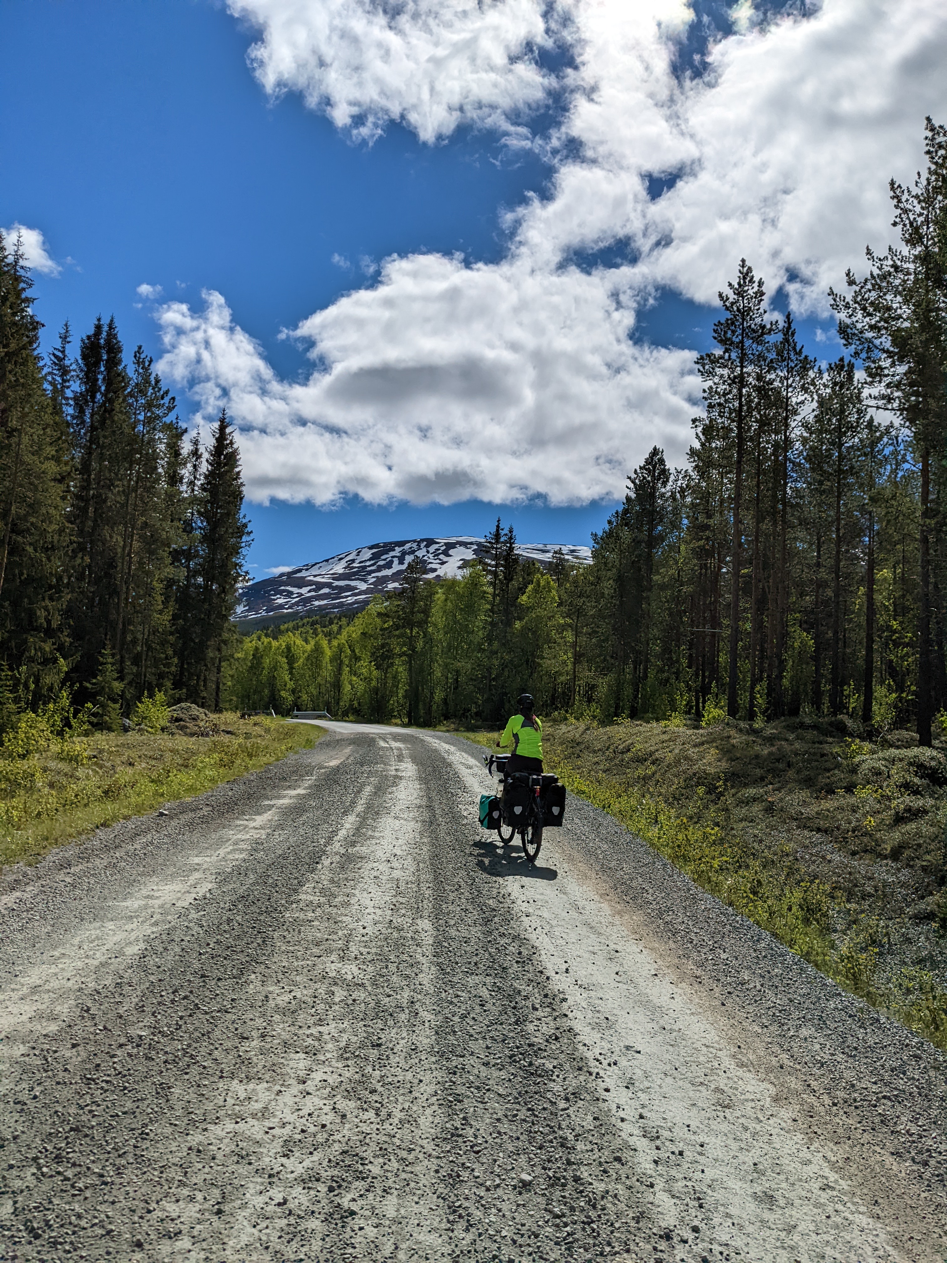 Heidi riding the gravel through forest land, with a large round hill - a mountain really - behind the trees