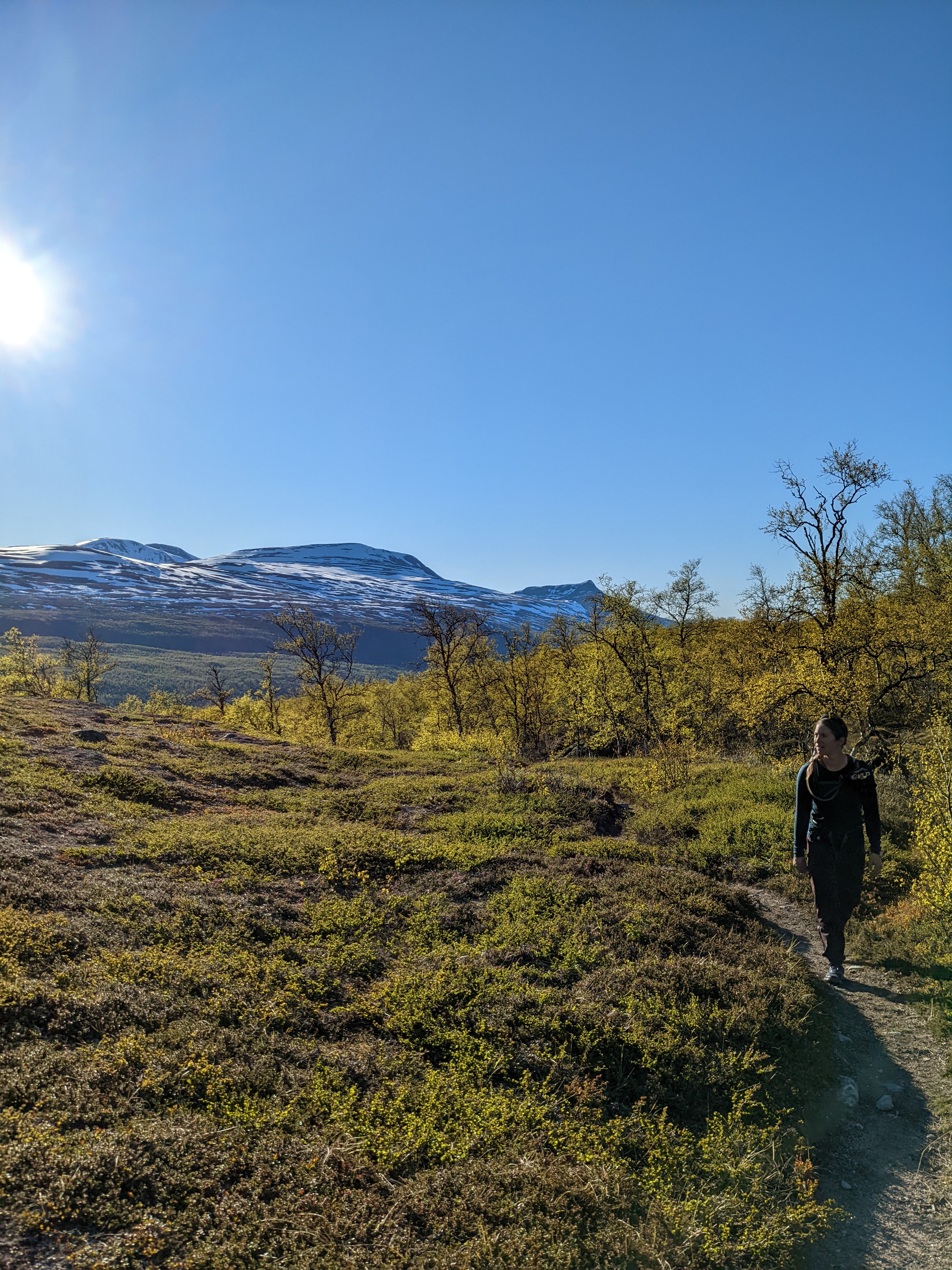 H walking up a path through low shrubs in the evening light