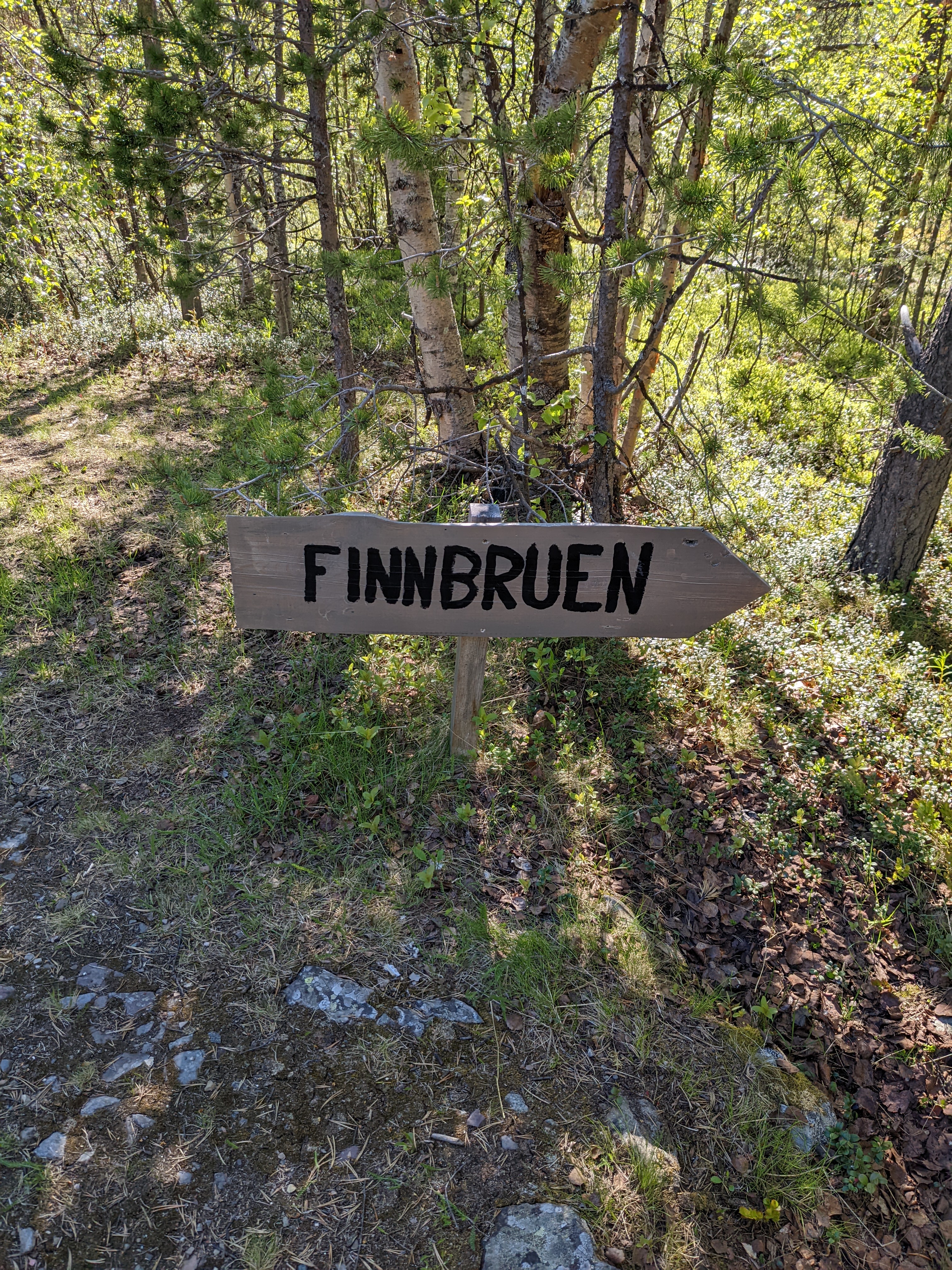 a sign that reads "Finnbruen" in a forest