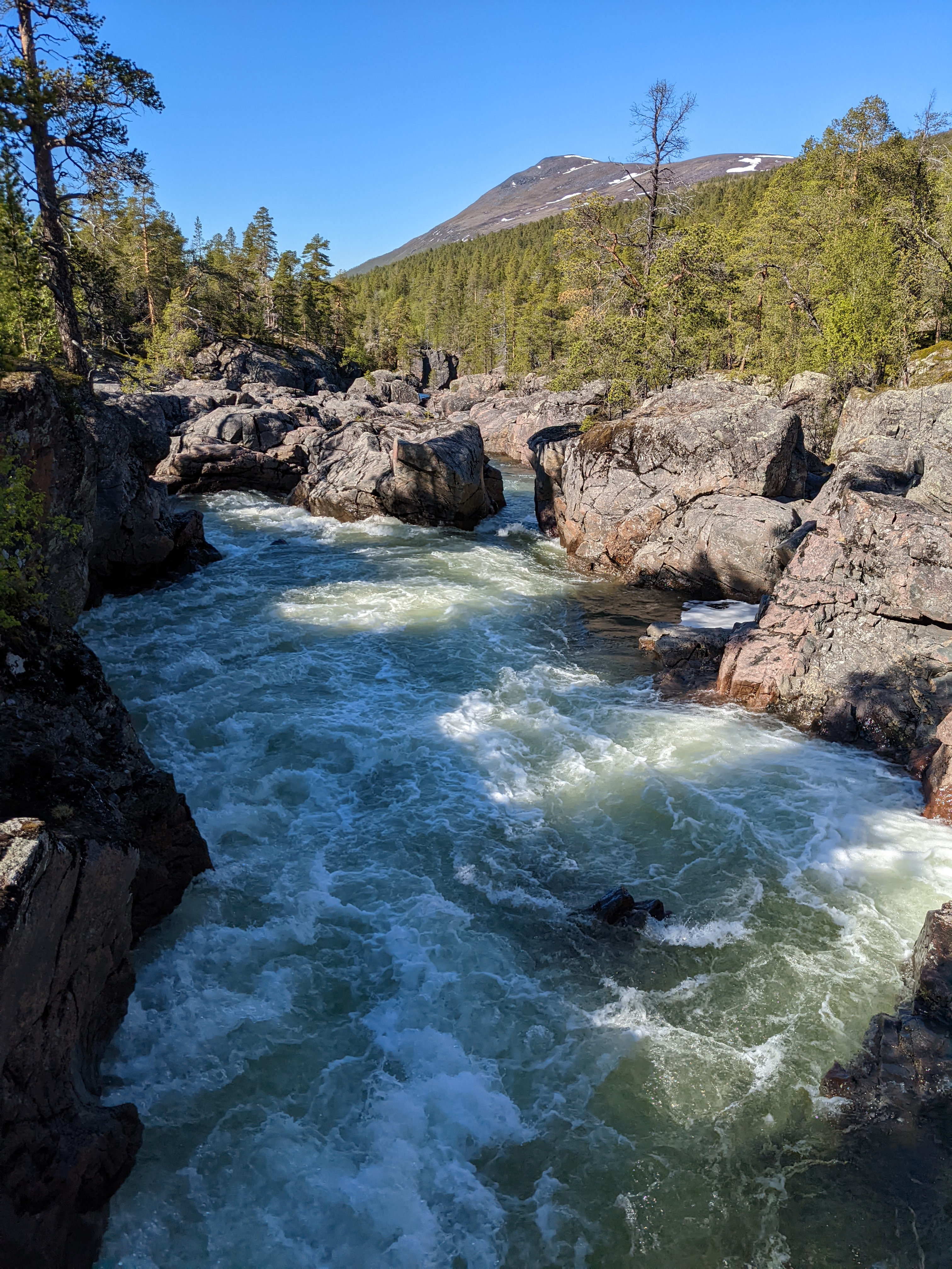 rapids in a wider stretch of the creek