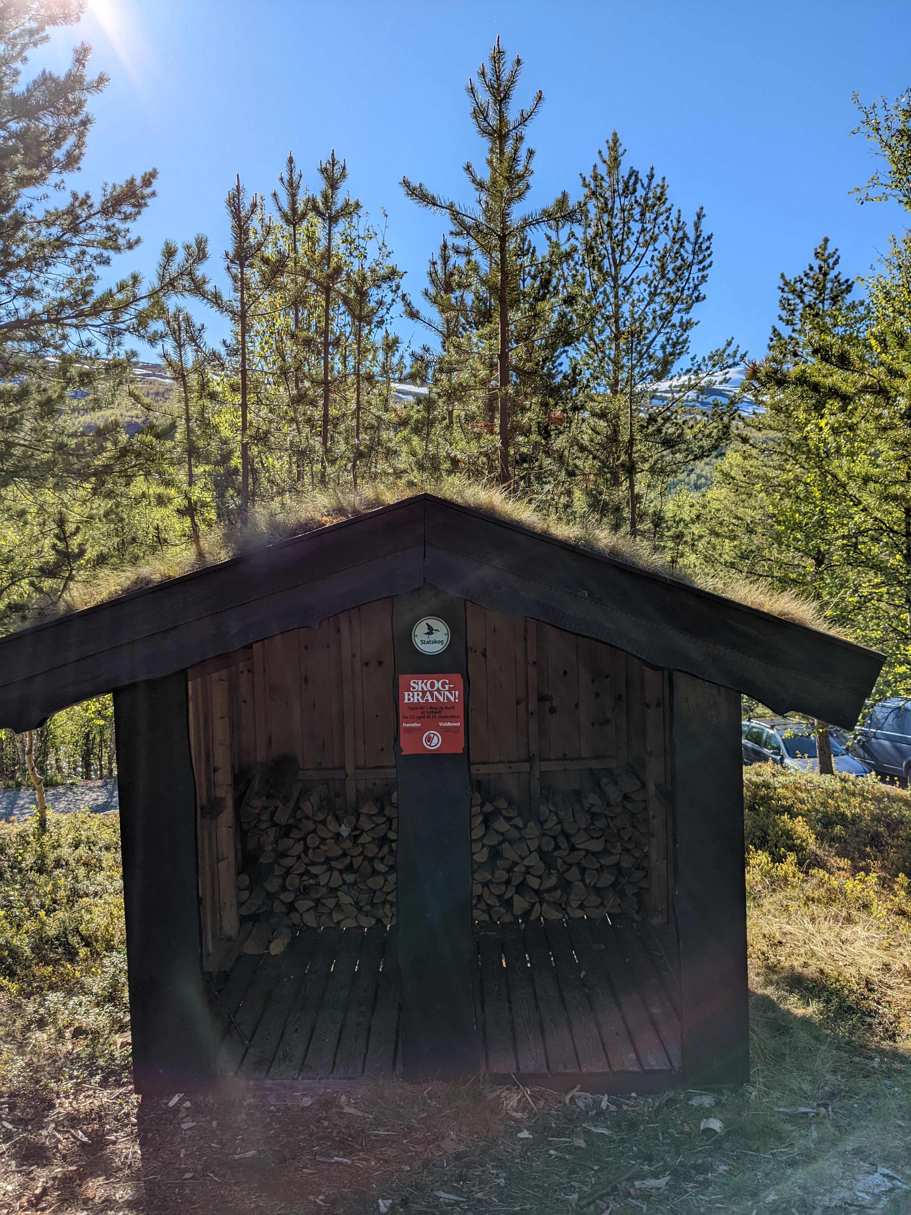 a turf-roofed woodshed