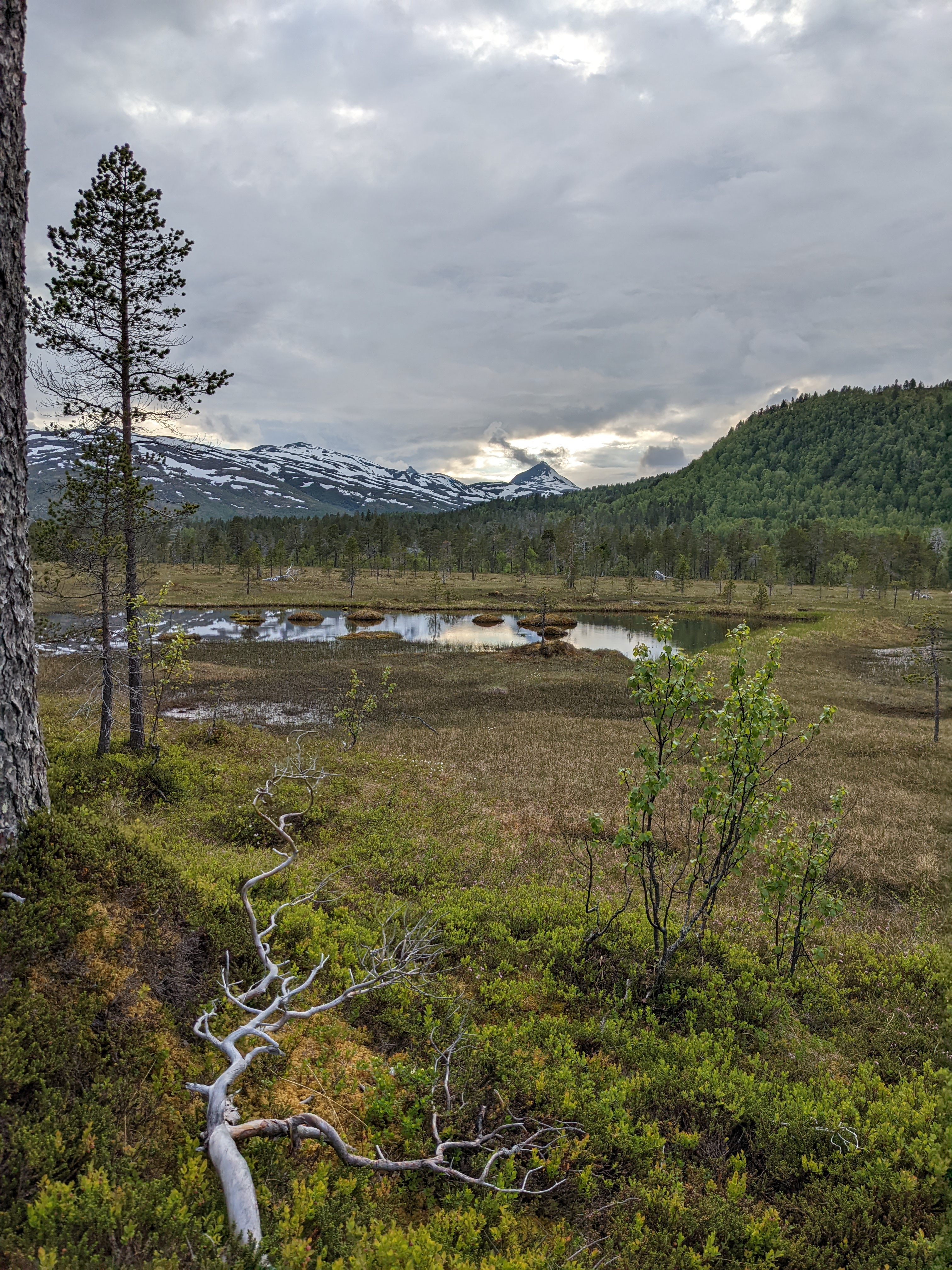 a tiny pond in a marshy meadow or peat bog with a sharp peak lit by sun through clouds