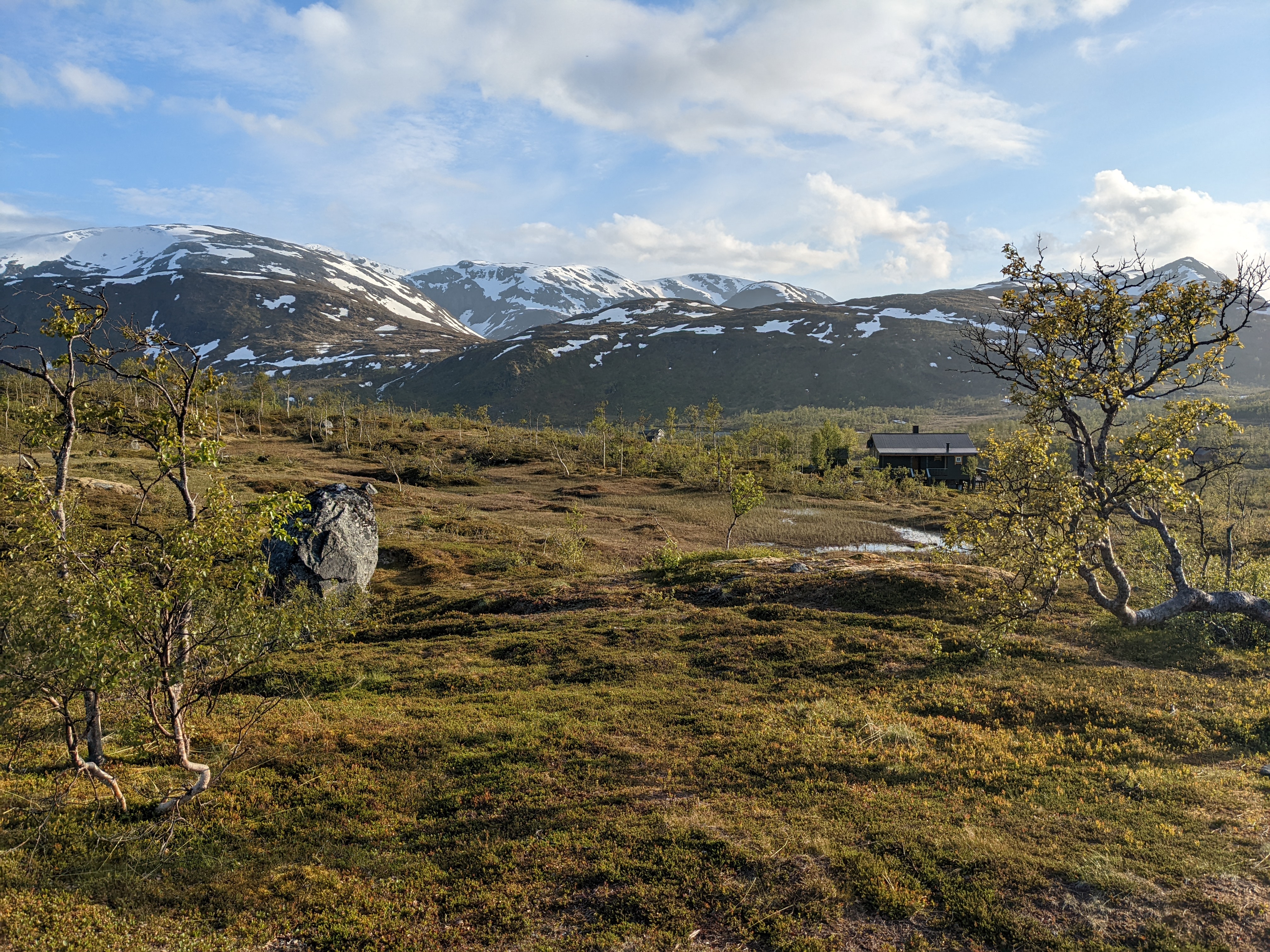 cabins on a plateau with small, sparse birches and rounded snowy peaks behind