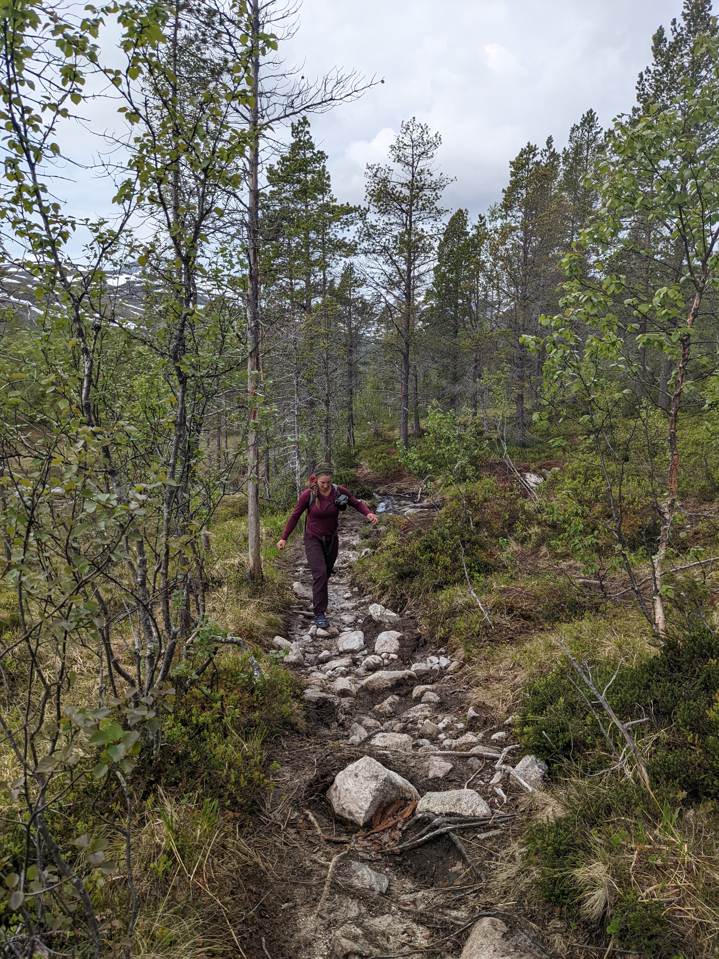 H walking up a rocky trail through pine woods