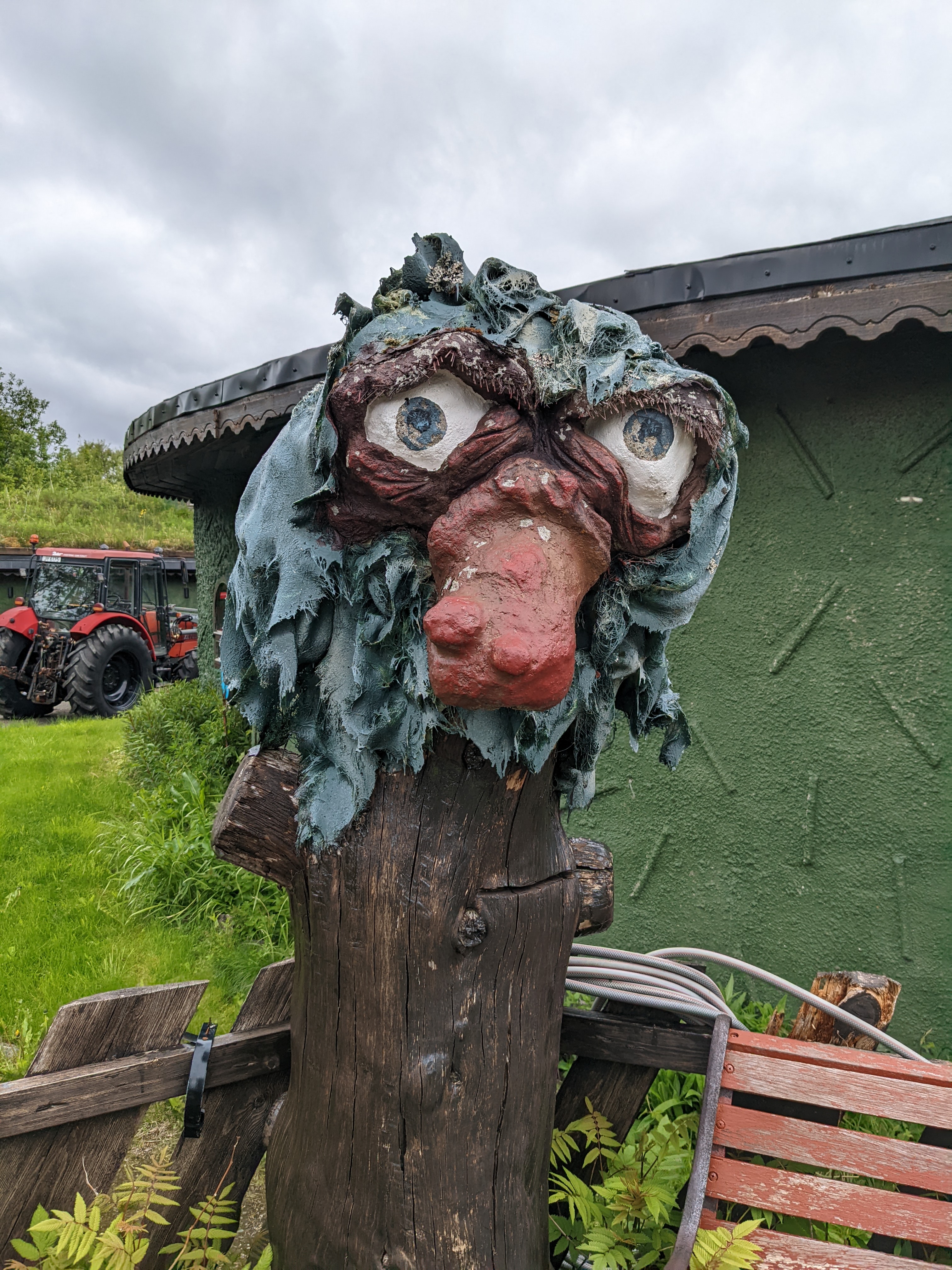 a man-made troll face on the top of a log, with a big warty nose and blue fiberglass hair or shawl