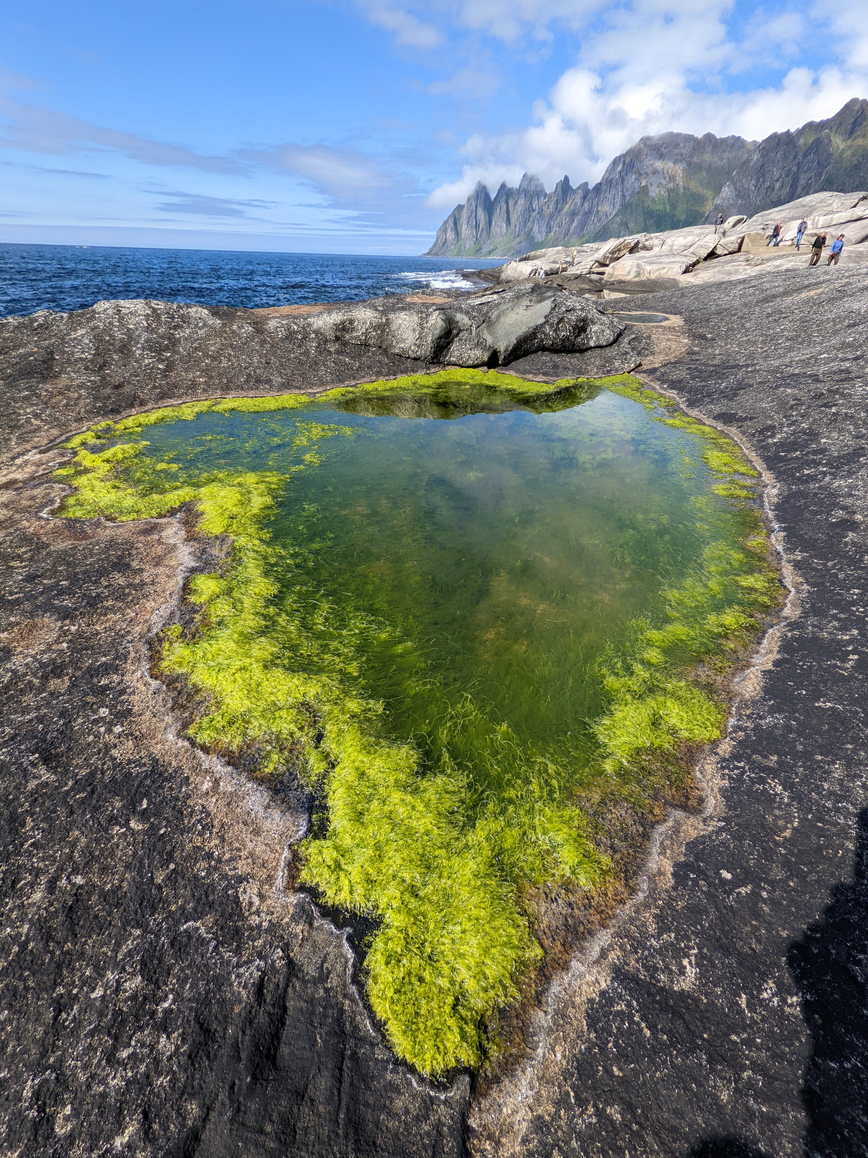 a pool of neon-green filamentous algae, with white rocks in the mid-ground and sharp peaks over the sea in the background