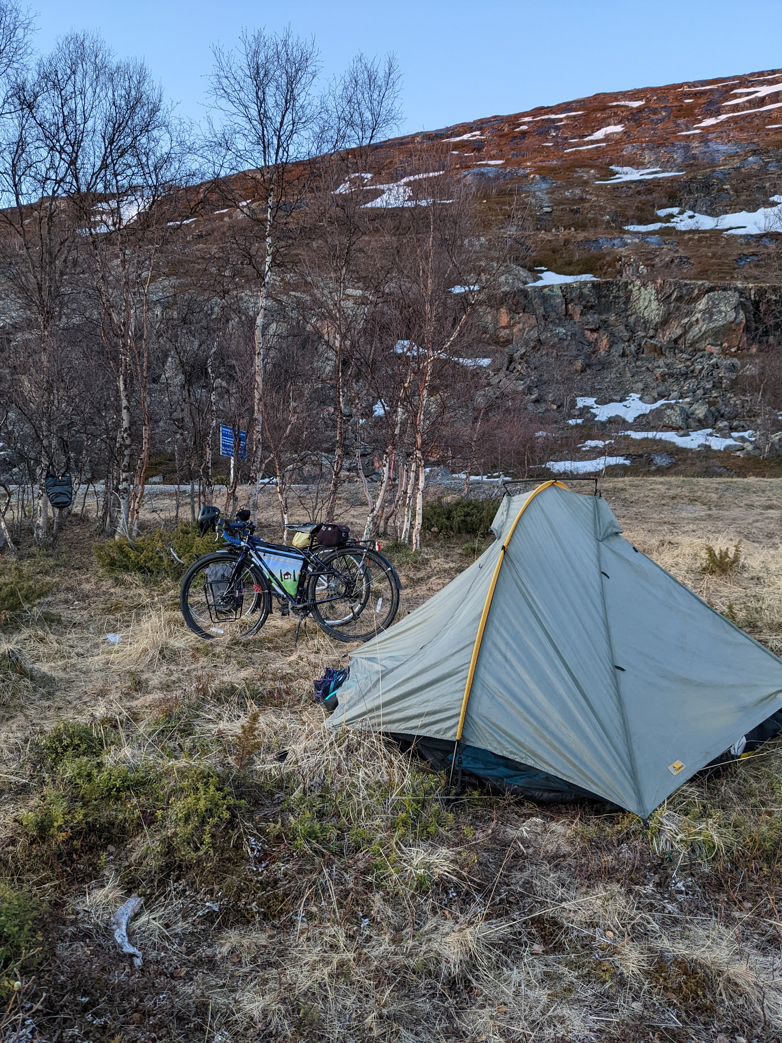 Tent at a roadside campsite among birches