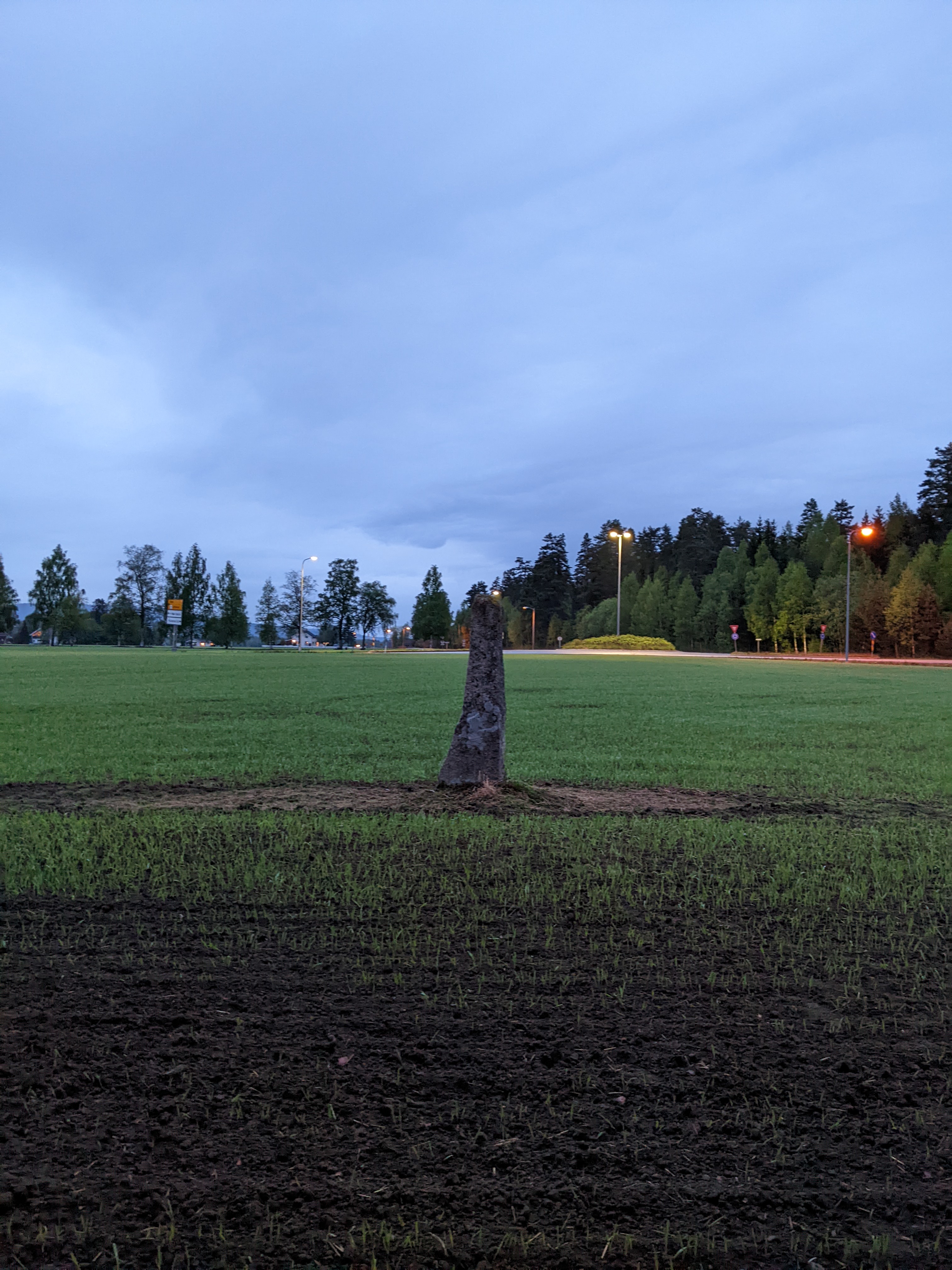 Vigsteinen, an ancient stone monument